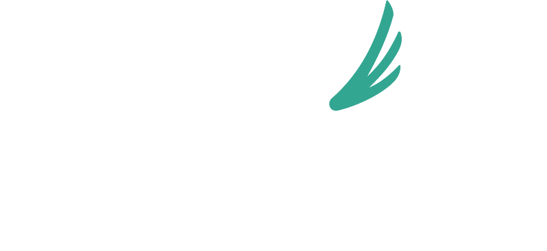 Accelera — mobility freedom